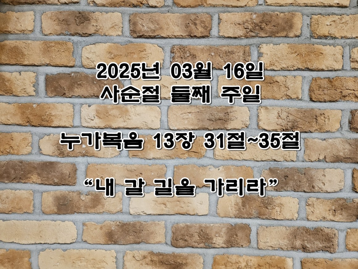 370bb58c579368ab8f99bffd74cd3948_1742097619_4628.jpg